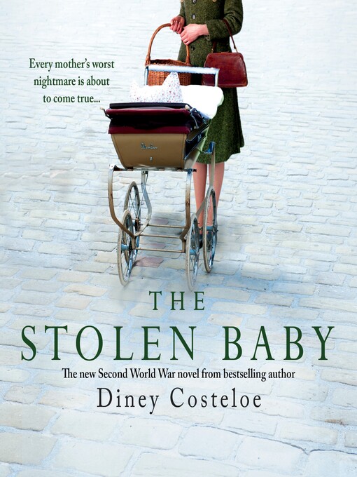 Cover image for The Stolen Baby